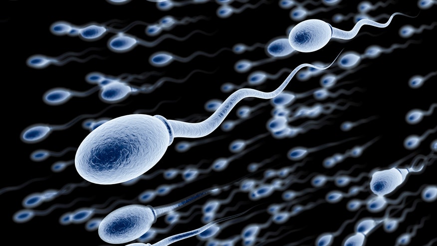 Device Lets Men Check Sperm Count At Home Fox News