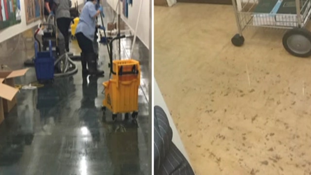 Justice stinks: Raw sewage floods district attorney's office