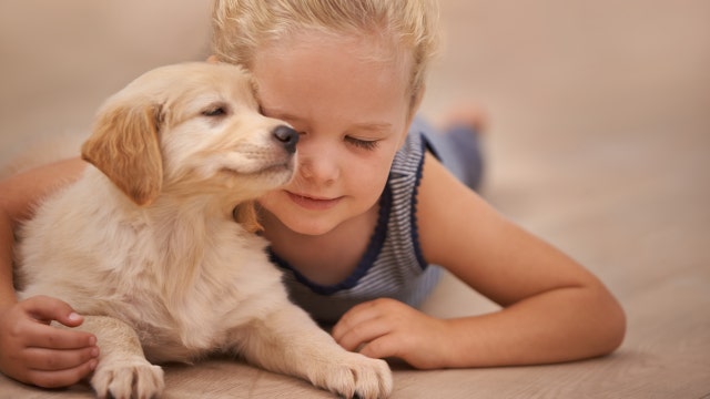 Fast-food toxins, the happiest state, kids favor dogs