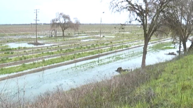 Winter rains hammer California farmers