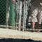 Pentagon proposing big release of Gitmo detainees