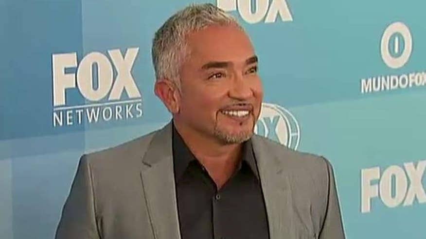 Animal control to speak with Cesar Milan