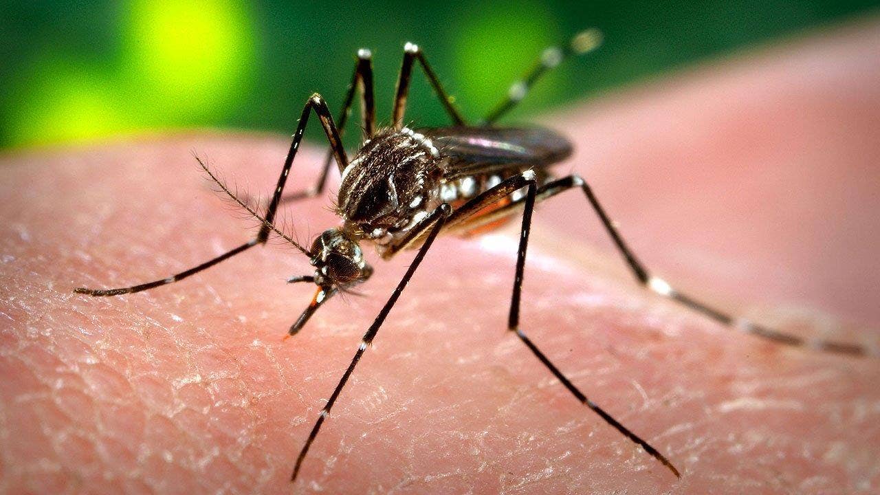 Congress poised to skip town with no action on Zika virus