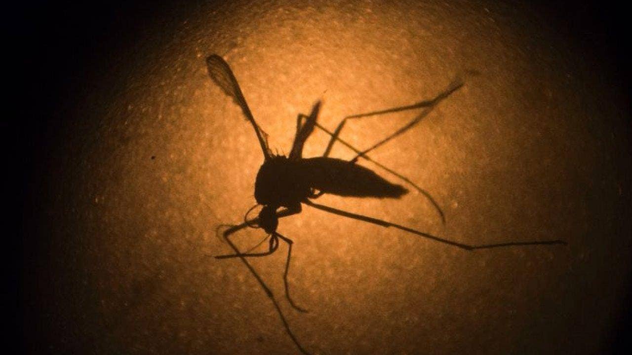 Utah man may have contracted Zika through father's tears in unique case