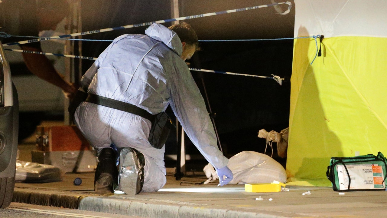 Woman killed in London attack was an American, police say