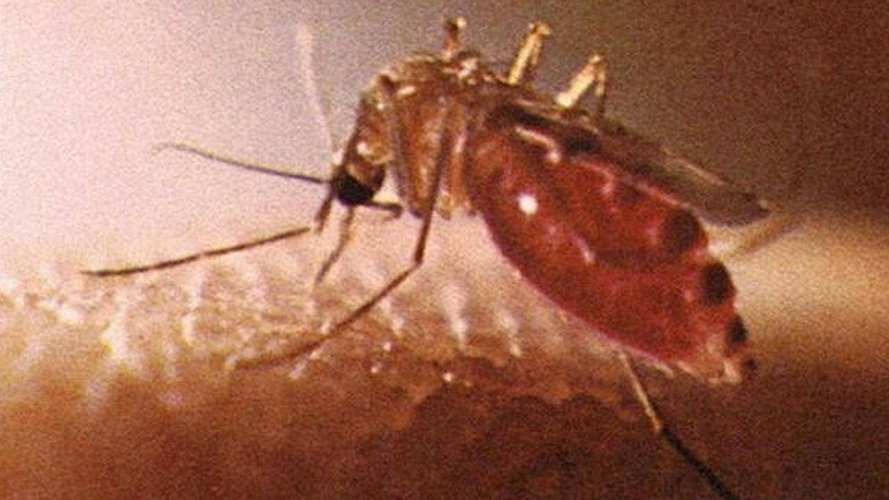 As Zika crisis grows in Florida, Congress still deadlocked on funding