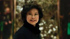 Donald Trump Picks Elaine Chao as Transportation Secretary