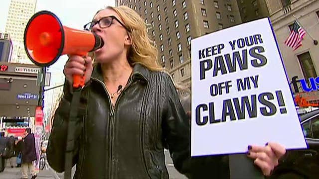 Kat Timpf protests Westminster dog show welcoming cats | On Air Videos