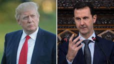 Syria war: US missiles 'took out 20% of aircraft'