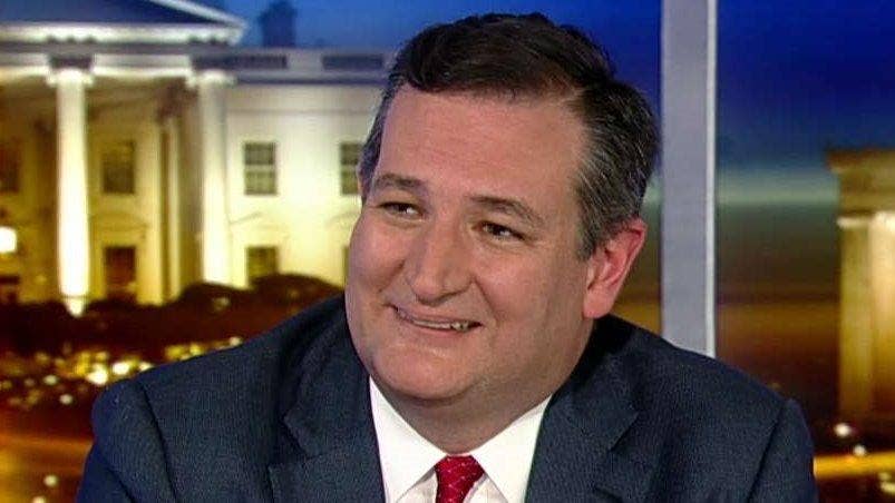 Sen. Ted Cruz: 'It's only fitting' cartel money be used for border wall