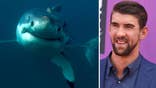 Shark Week sham? Viewers outraged by CGI 'great white'