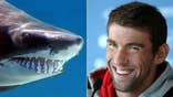 Viewers angry, feel misled after Phelps vs. 'shark' race