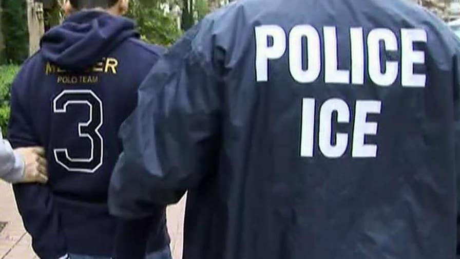 Ice Officers Arrest 32 Sex Offenders On Long Island As