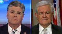 Gingrich: Elite media are in a frenzy to undermine Trump