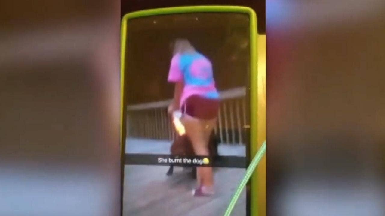 Snapchat video of dog set on fire spurs investigation of North Carolina teens
