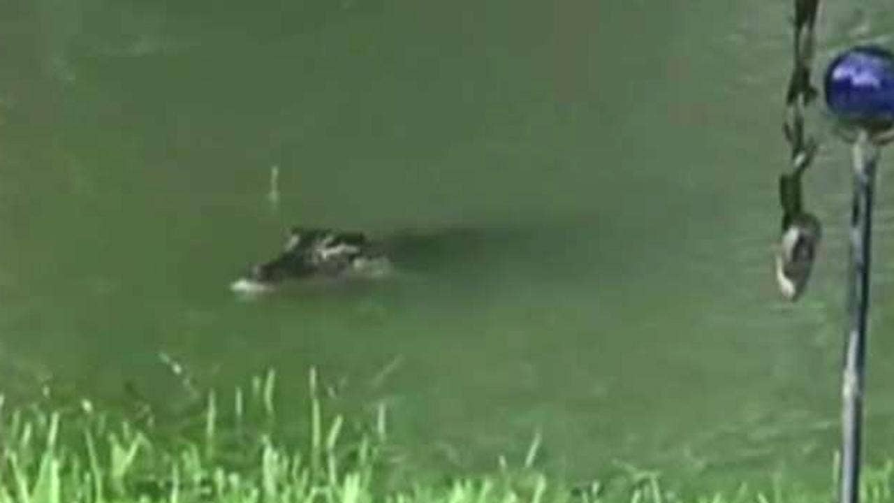 Reporter's Notebook: Harvey spawns tales of survival, heroism and even minor inconvenience