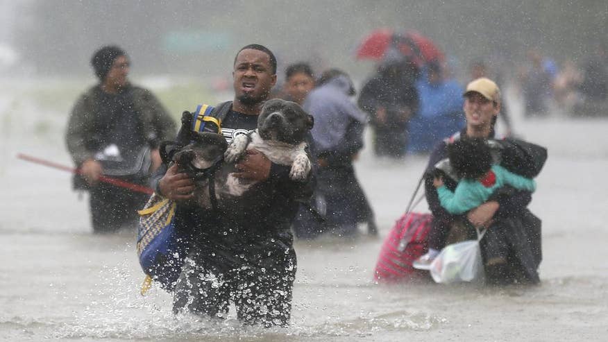 http://a57.foxnews.com/media2.foxnews.com/BrightCove/694940094001/2017/08/29/876/493/694940094001_5556400264001_5556392259001-vs.jpg?ve=1&tl=1