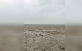 Video shows bare ocean floor 