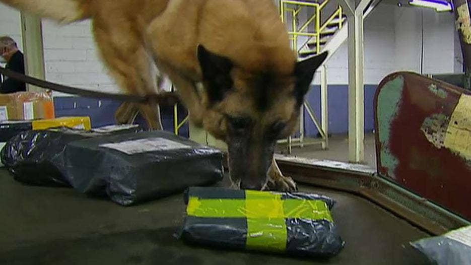 Border agents at New York's JFK airport on the front lines of America's drug war