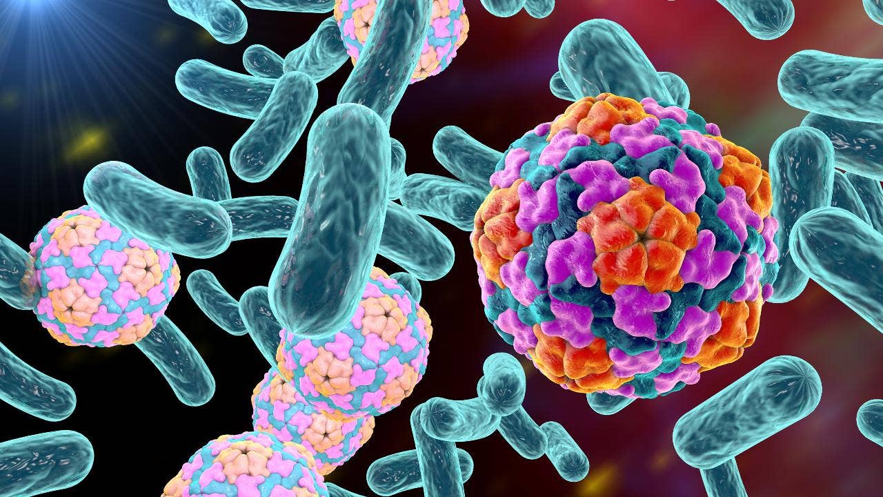 Hepatitis A outbreak in Massachusetts kills 1, sickens 64 others | Fox News