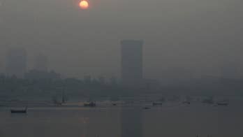 Pollution is the largest environmental cause of disease and premature death in the world.