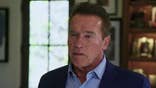 OBJECTified: Arnold Schwarzenegger