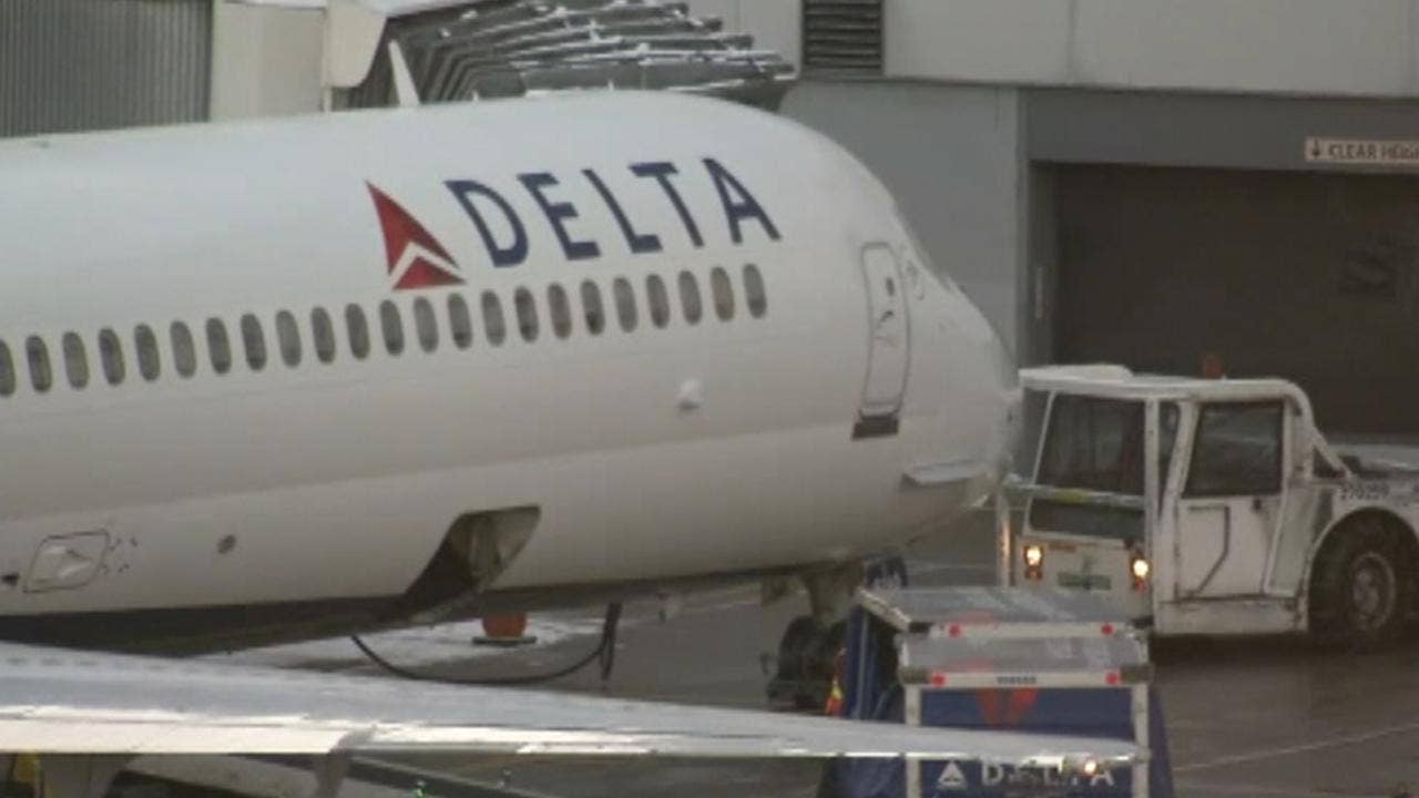 Bird flies into cockpit, forces Delta flight to turn around