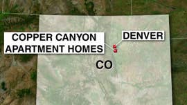 An early morning New Year's Eve domestic disturbance call sparked a mass shooting that has left at least one deputy dead, four others injured and two civilians wounded in an apartment complex just south of Denver.