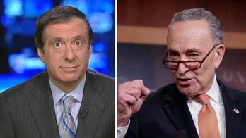 'MediaBuzz' host Howard Kurtz weighs in on the rare consensus in the media that Chuck Schumer and the Democrats lost during the government shutdown.