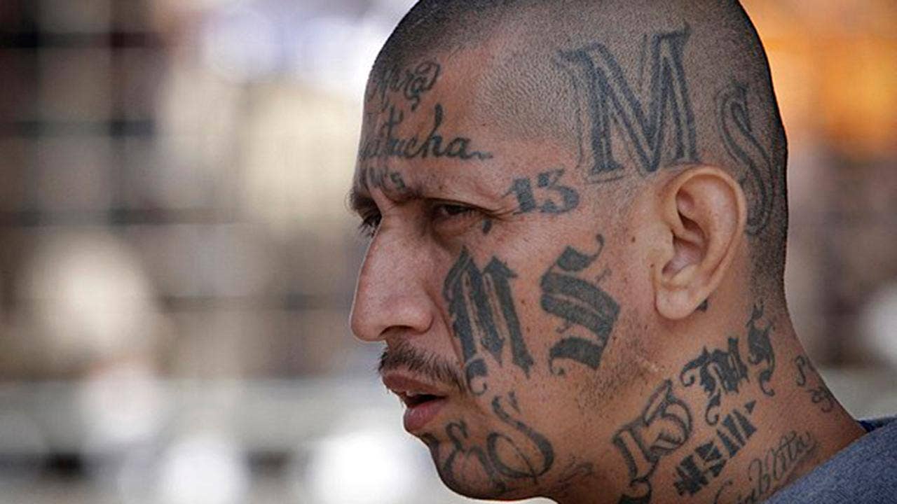 DHS reveals dozens of MS-13, other gang members released by 'sanctuary' policies