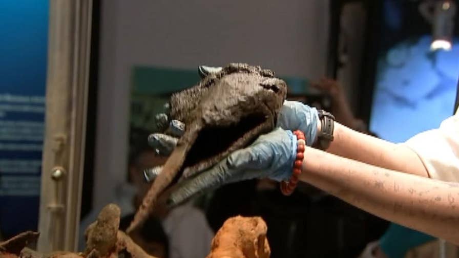 Pirate Mystery: Does This 300-year-old Bone Belong To 'Black Sam ...