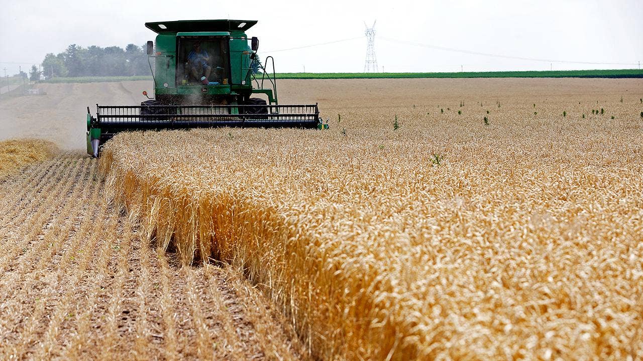 Trump expected to threaten farm bill veto if food stamp work requirements not tightened