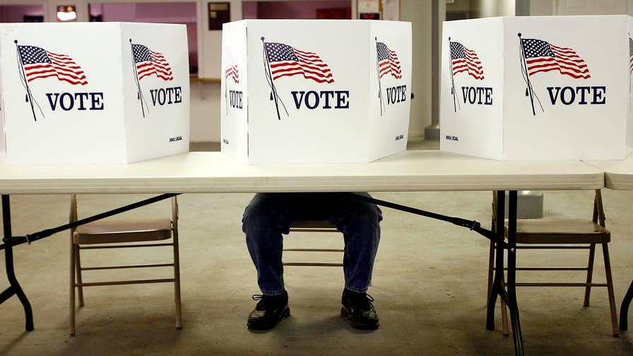 Leftist Democrats launch fierce primary battles against moderate incumbents. Fox News contributor Karl Rove gives his take.