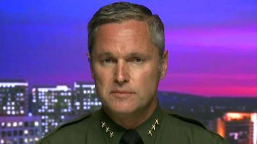 Don Barnes tells 'Hannity' why his department is helping ICE enforce federal immigration laws.