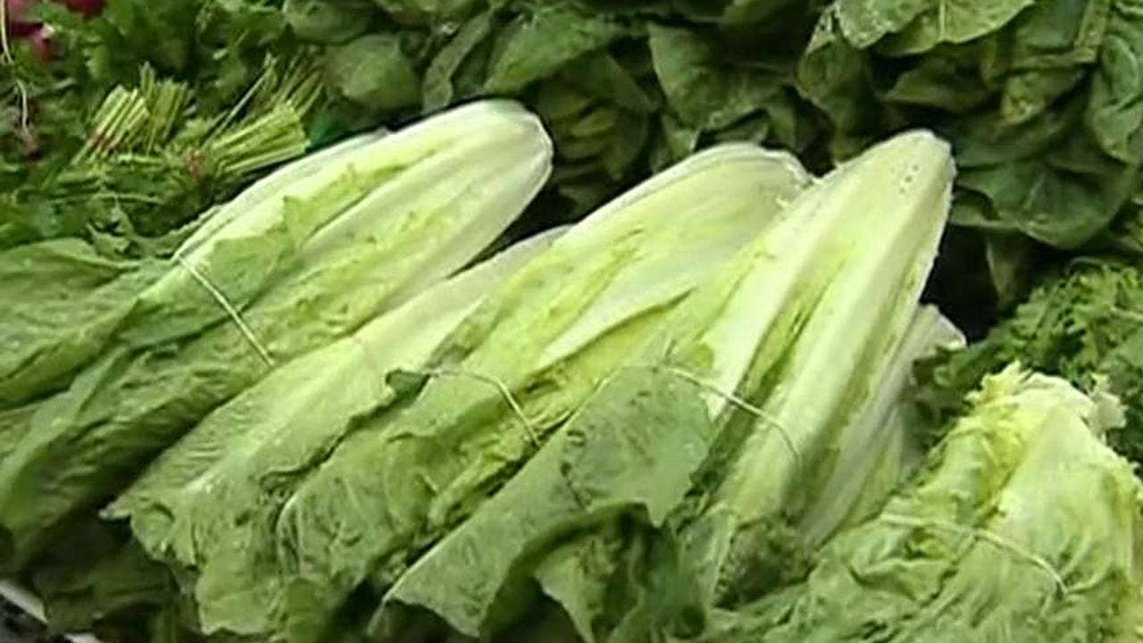 CDC confirms five deaths connected to E. coli-tainted lettuce