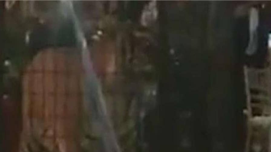 Caged tiger brought to prom at Miami high school sparking outrage.