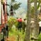 Cuba plane crash leaves 110 dead, 3 injured, officials say