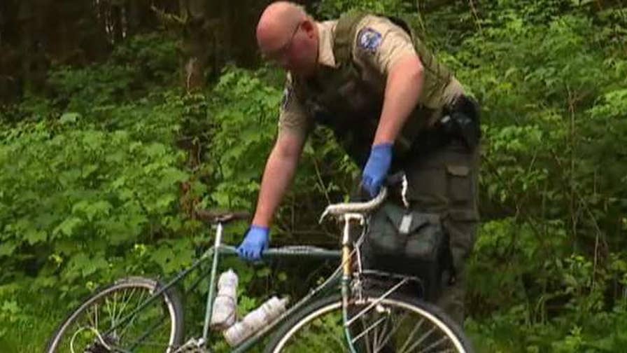 Cougar In Washington That Killed Biker, Injured Another Was 'emaciated ...