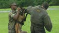 Leland Vittert helps with Marine dog training