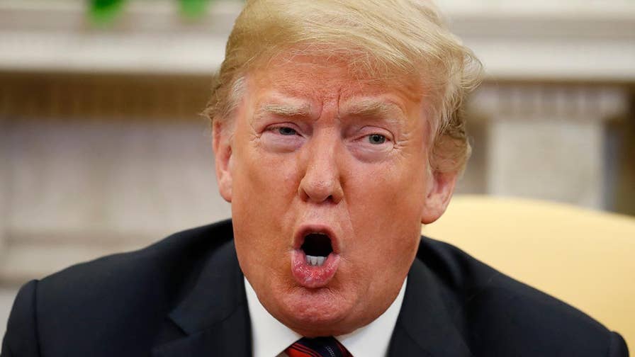 President Trump pressures lawmakers to pass stricter immigration laws; reaction on 'Outnumbered.'
