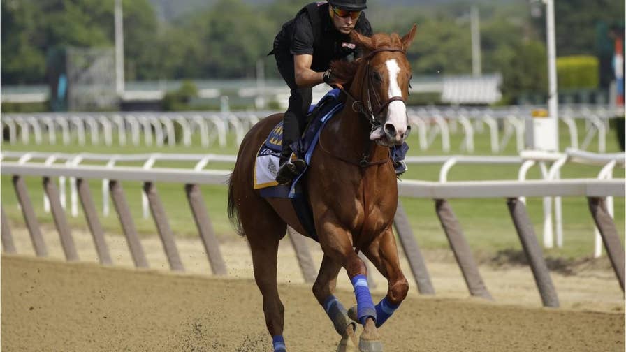 Everything you need to know about racing horse Justify.