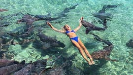 An Instagram model said she’s fortunate to still have her arm after a nurse shark latched onto it and dragged her under water while the woman was swimming with a school of seemingly harmless sharks in the Bahamas last month.