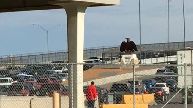 Border agents stopping migrants on international bridges