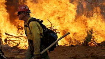 Deadly wildfires have killed five people in California.