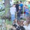 Idaho neighborhood ransacked by more than 100 rogue goats