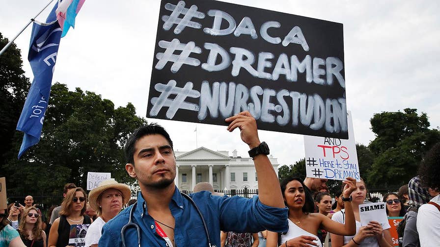 Image result for daca