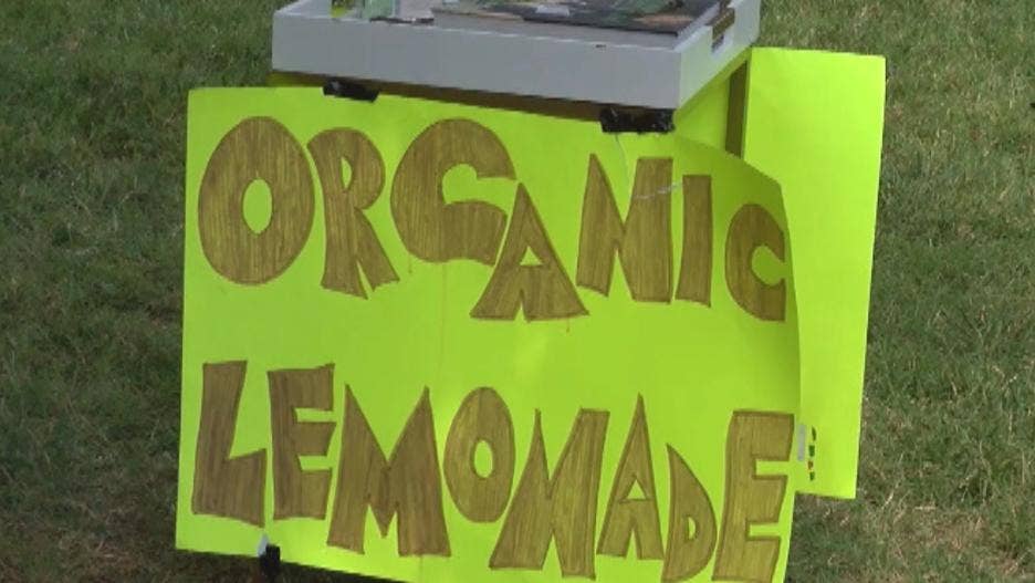Image result for North Carolina boy robbed at gunpoint while selling lemonade gets lawn mower