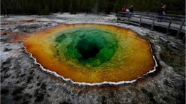 A giant "swarm" of 153 earthquakes recently hit near the Yellowstone supervolcano, according to the latest data.