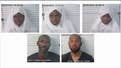 Judge grants bail to New Mexico compound members