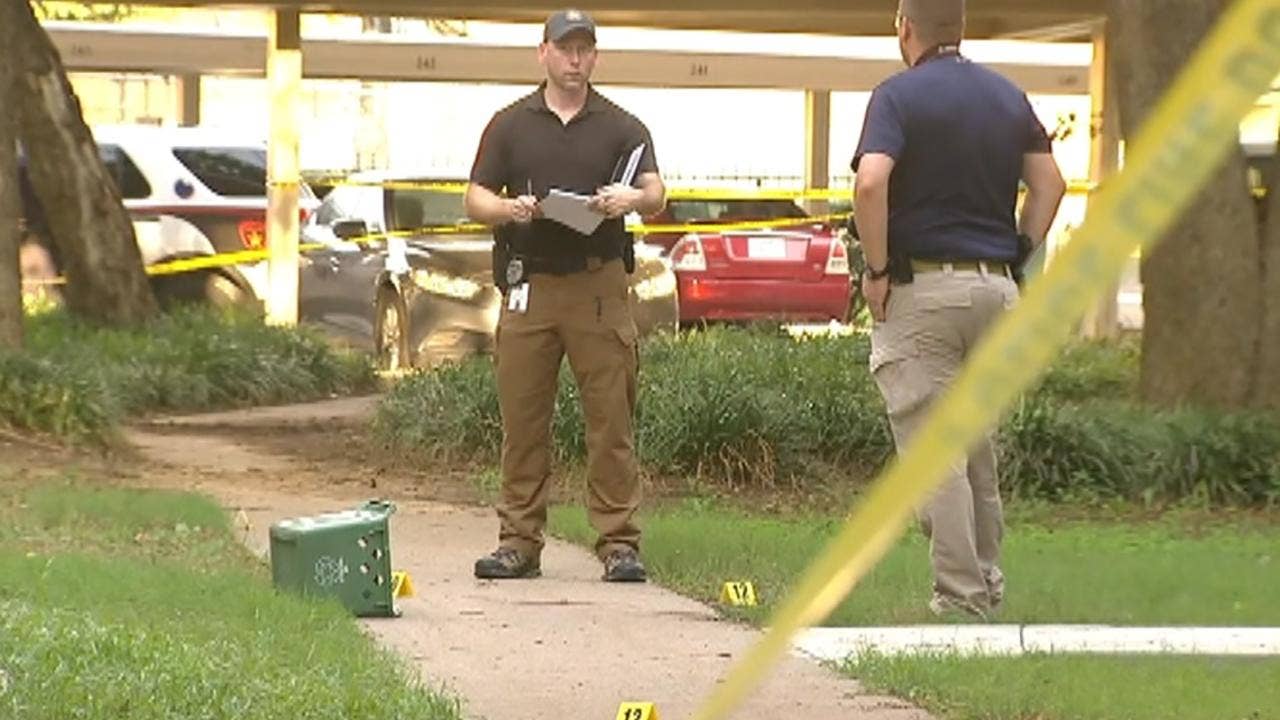 Texas man yelling &lsquo;Jesus is coming&rsquo; while stabbing toddler is shot by neighbor trying to stop attack, cops say